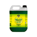 MELON SHAMPOO AUTOMOTIVO NEUTRO 5LT EASYTECH